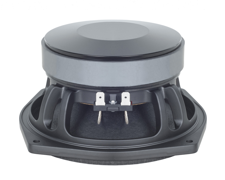 Alto-Falante B&C Speakers Woofer 6PS38 6,5" 8